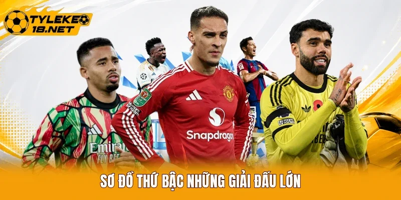 Sơ đồ thứ bậc những giải đấu lớn