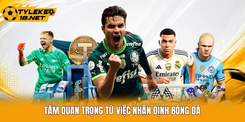Tầm quan trọng từ việc nhận định bóng đá