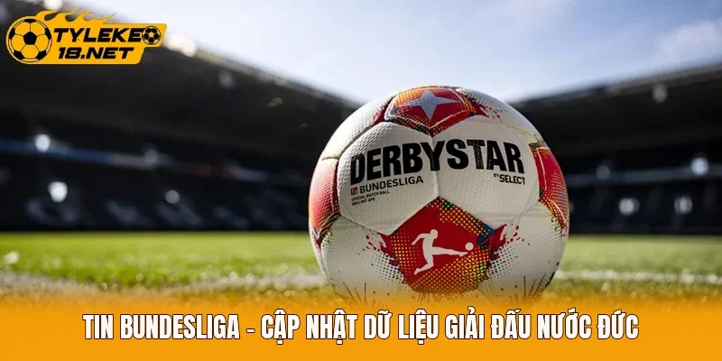 Tin Bundesliga