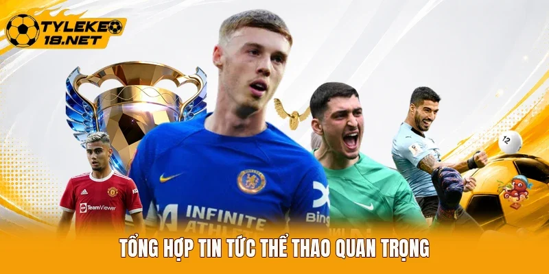 Tổng hợp tin tức thể thao quan trọng