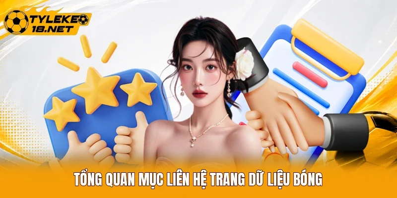 Tổng quan mục liên hệ trang dữ liệu bóng