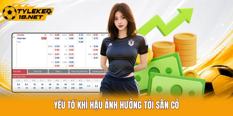 Yếu tố khí hậu ảnh hưởng tới sân cỏ